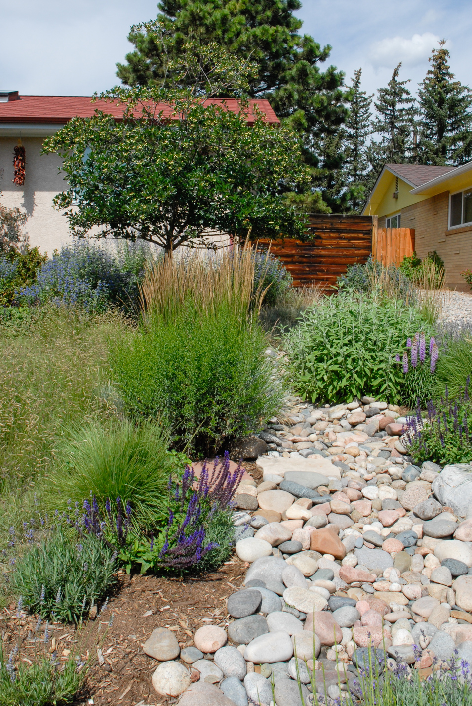 Southwest Spin Xeriscape